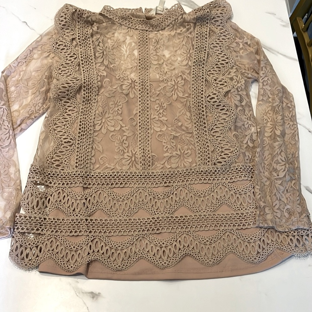 Blush Lace Top with Built-in Camisole